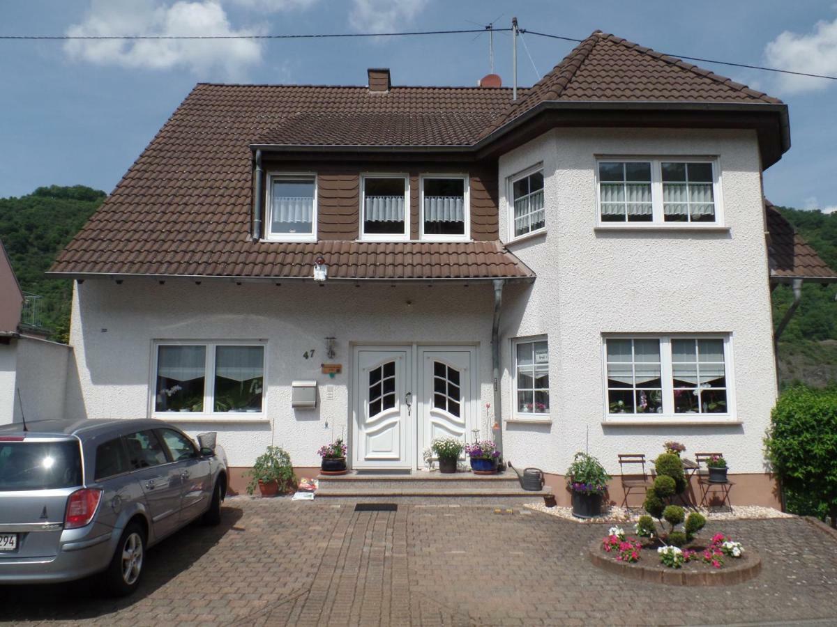 Ferienwohnung Erz Burgen  Luaran gambar